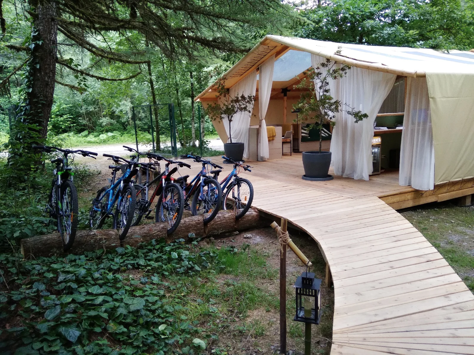 Pati model kao centralna tačka pristupa i kretanja u prirodnom okruženju