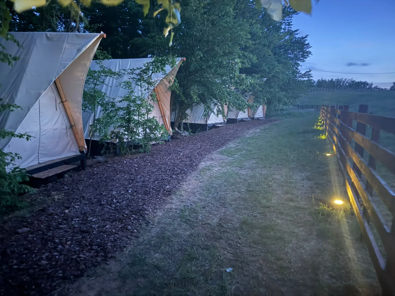 Više realizovanih Prisma glamping šatora Wildhomes na jednoj lokaciji