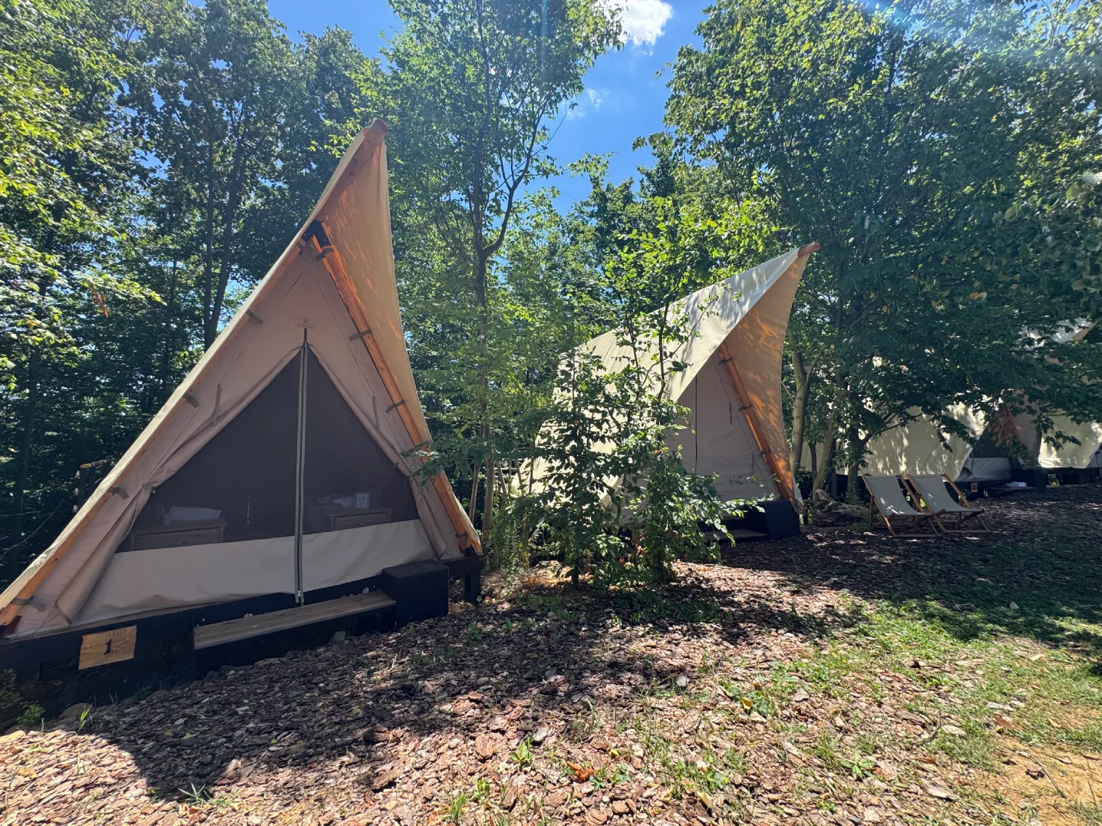 Više Prisma A-frame glamping šatora Wildhomes u prirodi